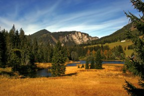 开云在线登入-乒乓球技术分析软件帮助选手优化战术，乒乓球技术分析软件帮助选手优化战术的方法