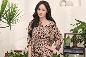 开云体育网站-控场与爆发谁更适合现代控卫角色，控场技能