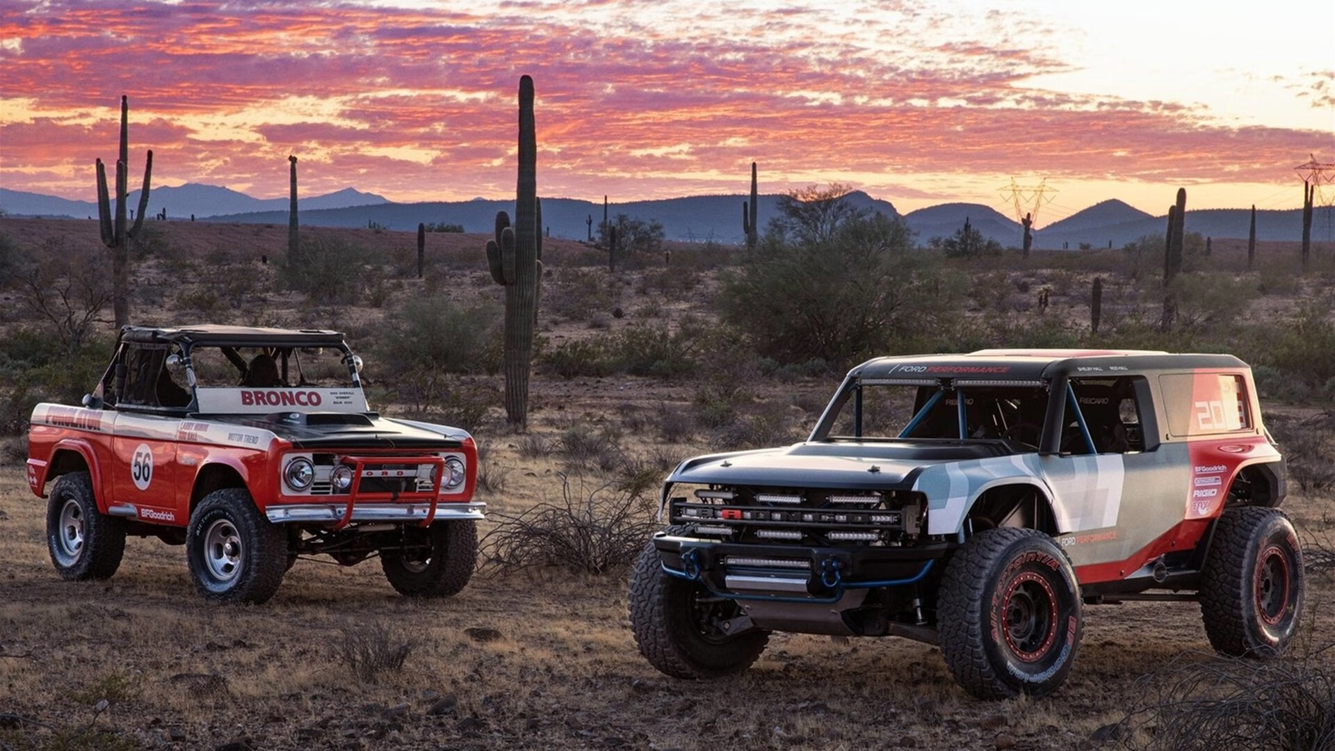 运动技能学习平台使用行为与动机分析,运动技能形成理论