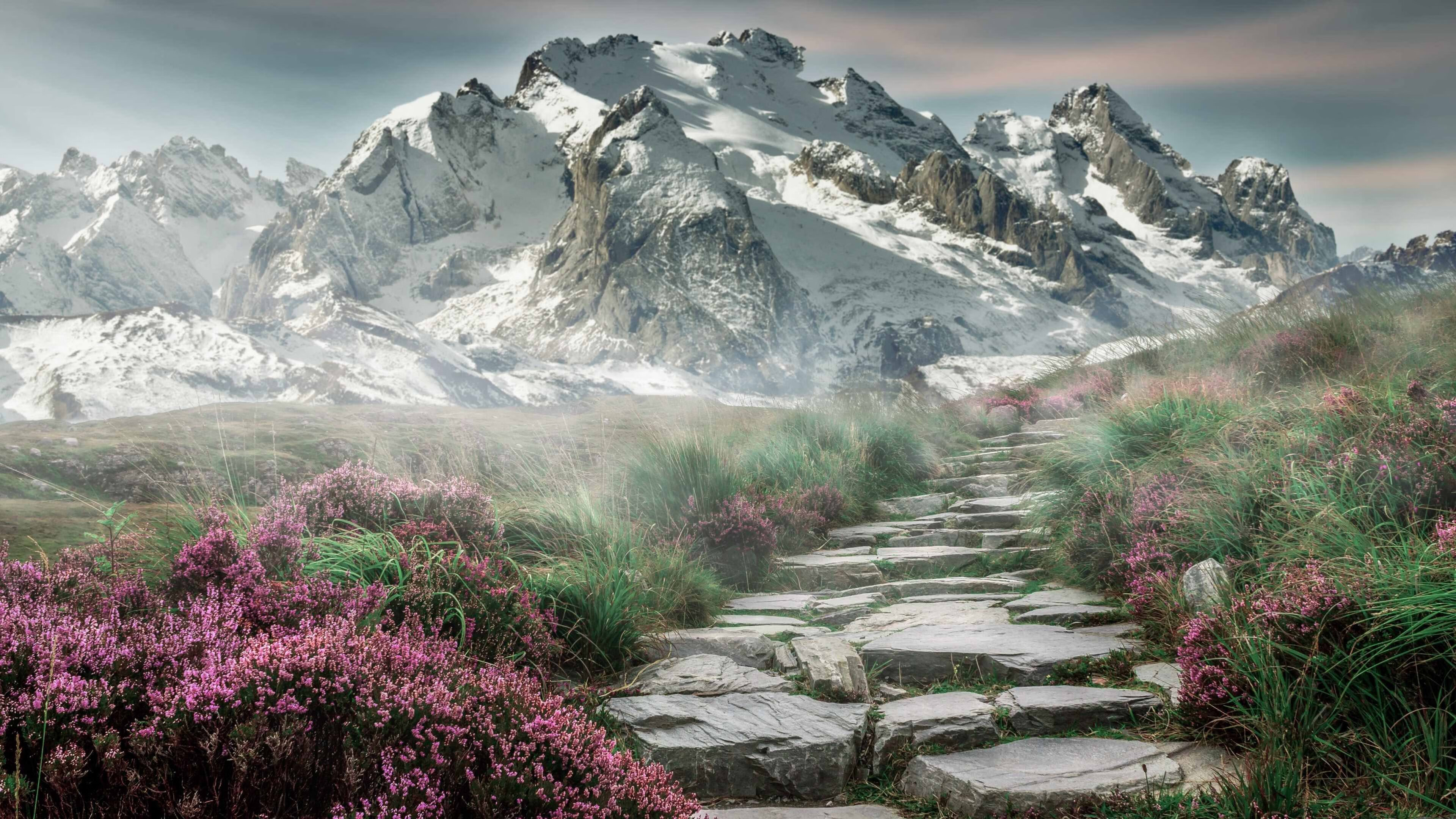 全国大学生健身操舞锦标赛展现青春风采,全国大学生健美操