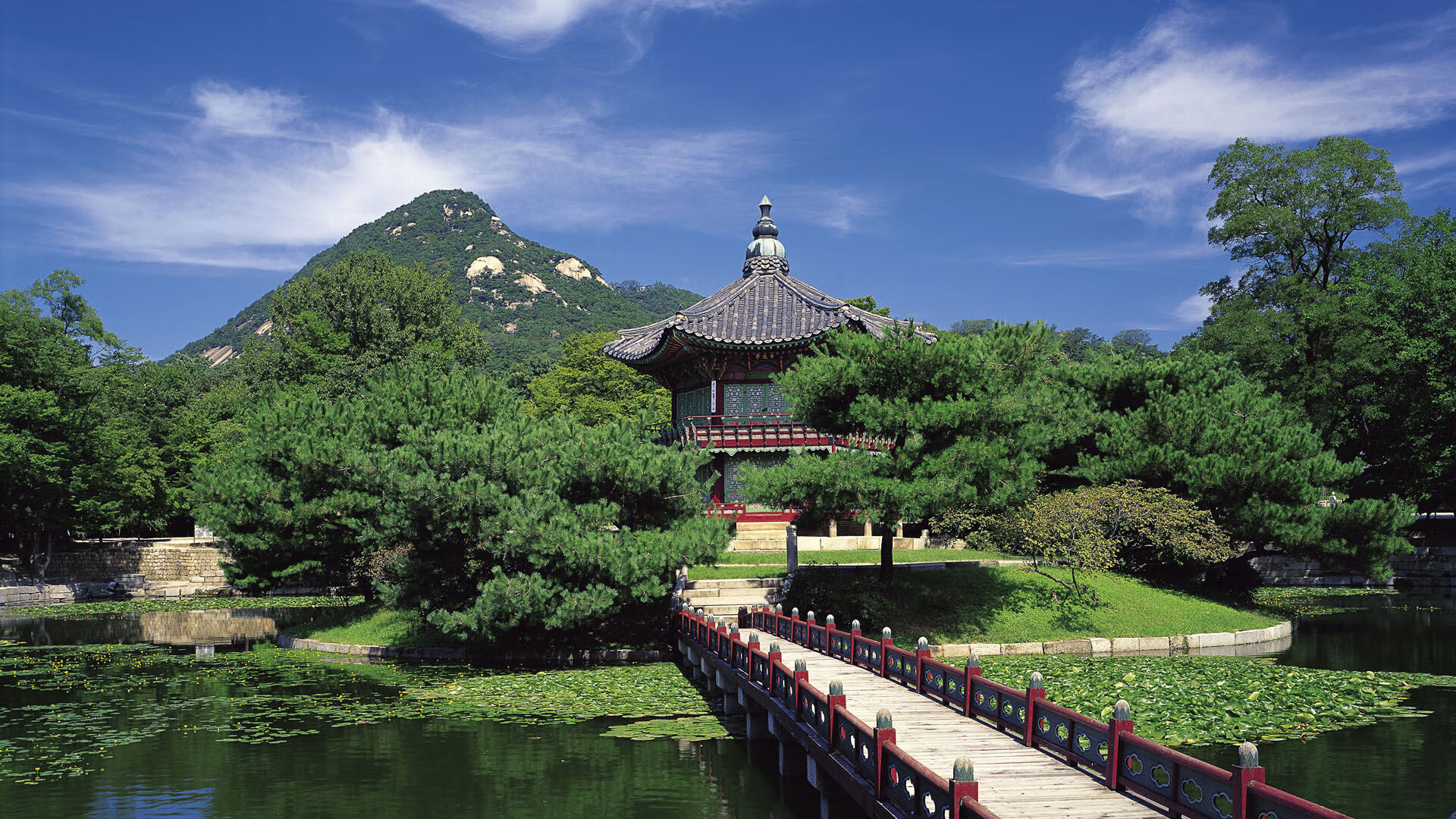 广东队后场双枪配合默契助力关键胜利,广东队后卫排名最新