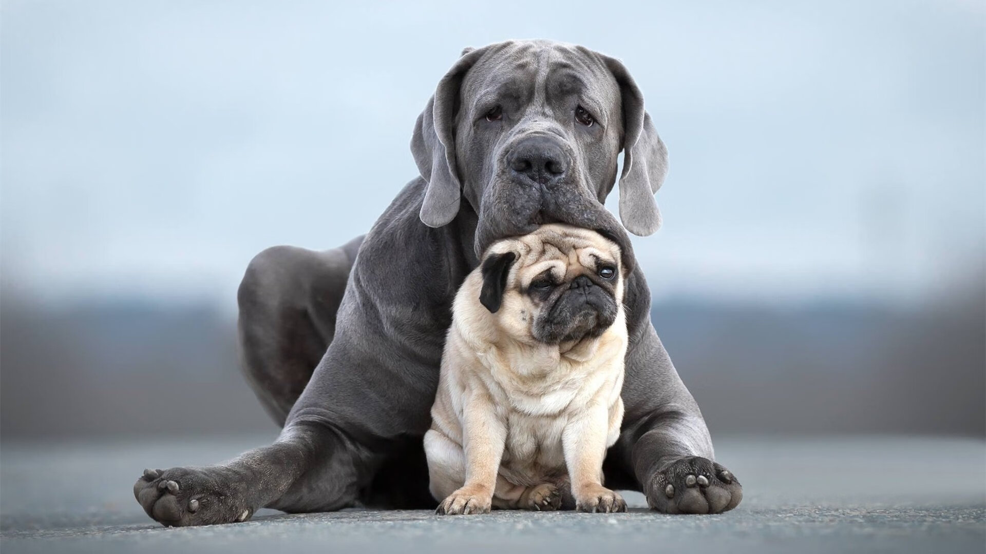 拉齐奥注重控球提升场上统治力,在拉齐奥效力过的所有球员