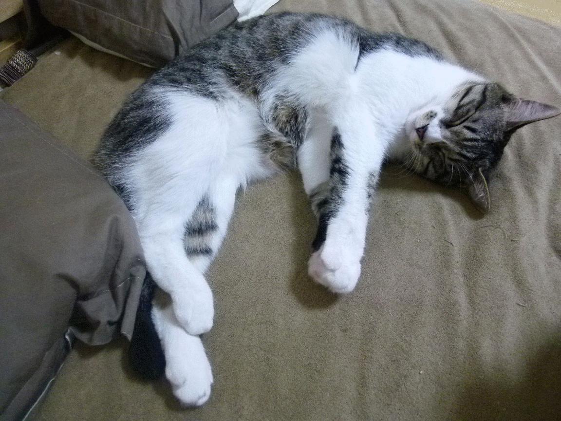 高频转换节奏是否增加球队整体失误风险,高频转低频转换器使用方法