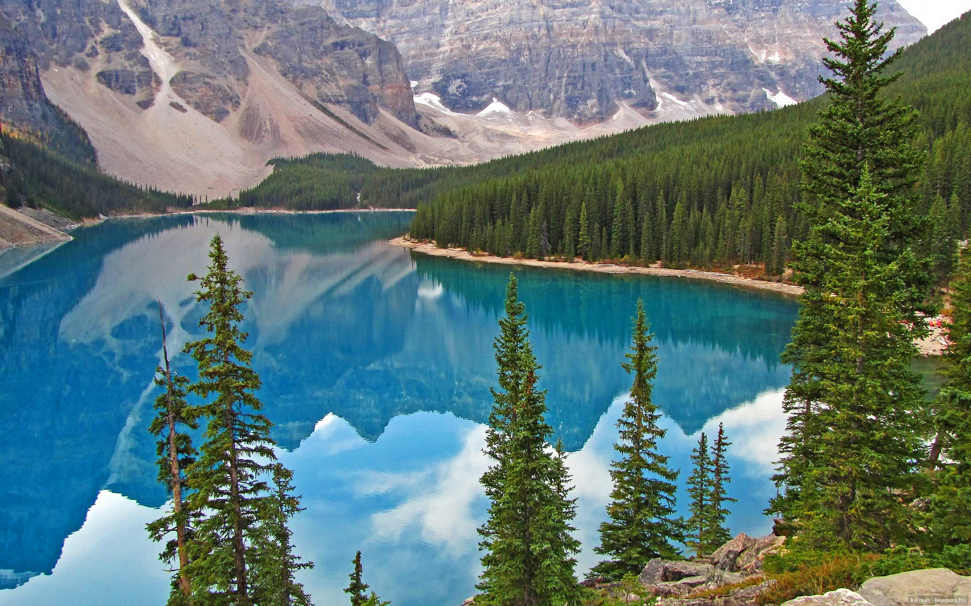 美洲杯激情再燃:攻守转换中的惊喜不断,“美洲杯”