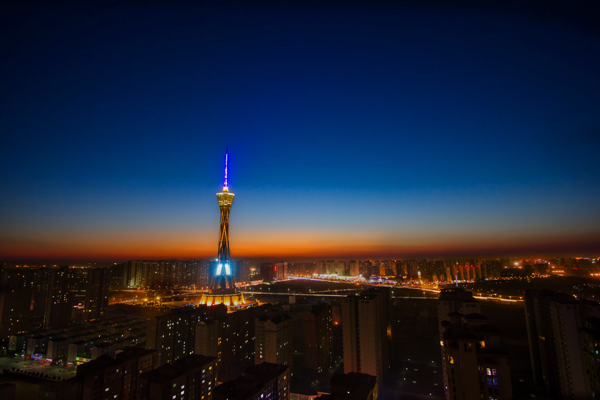 苏格兰橄榄球队的青年军力量崭露头角,苏格兰 队员