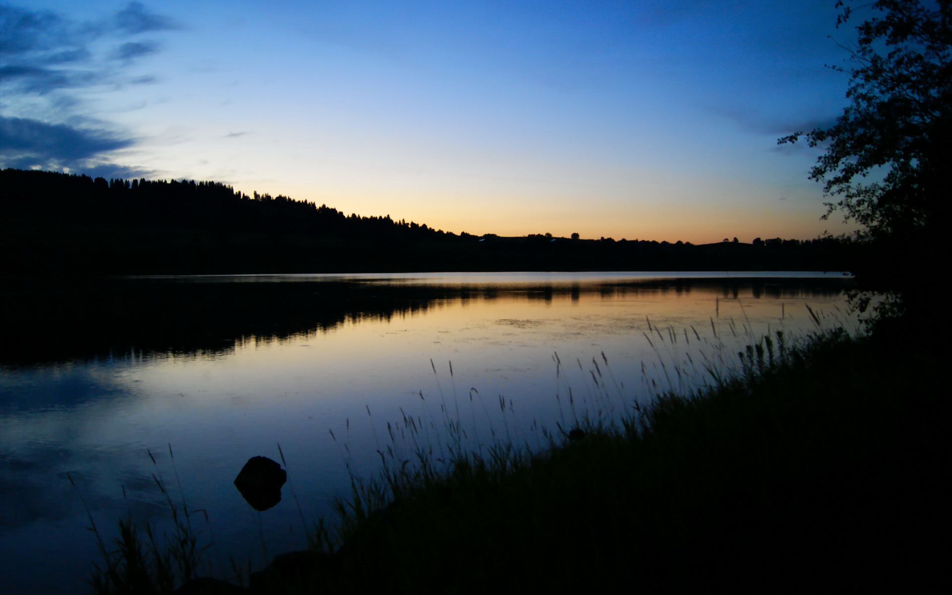 高速冲刺!覃海洋50米蛙泳表现稳定,覃海洋个人资料