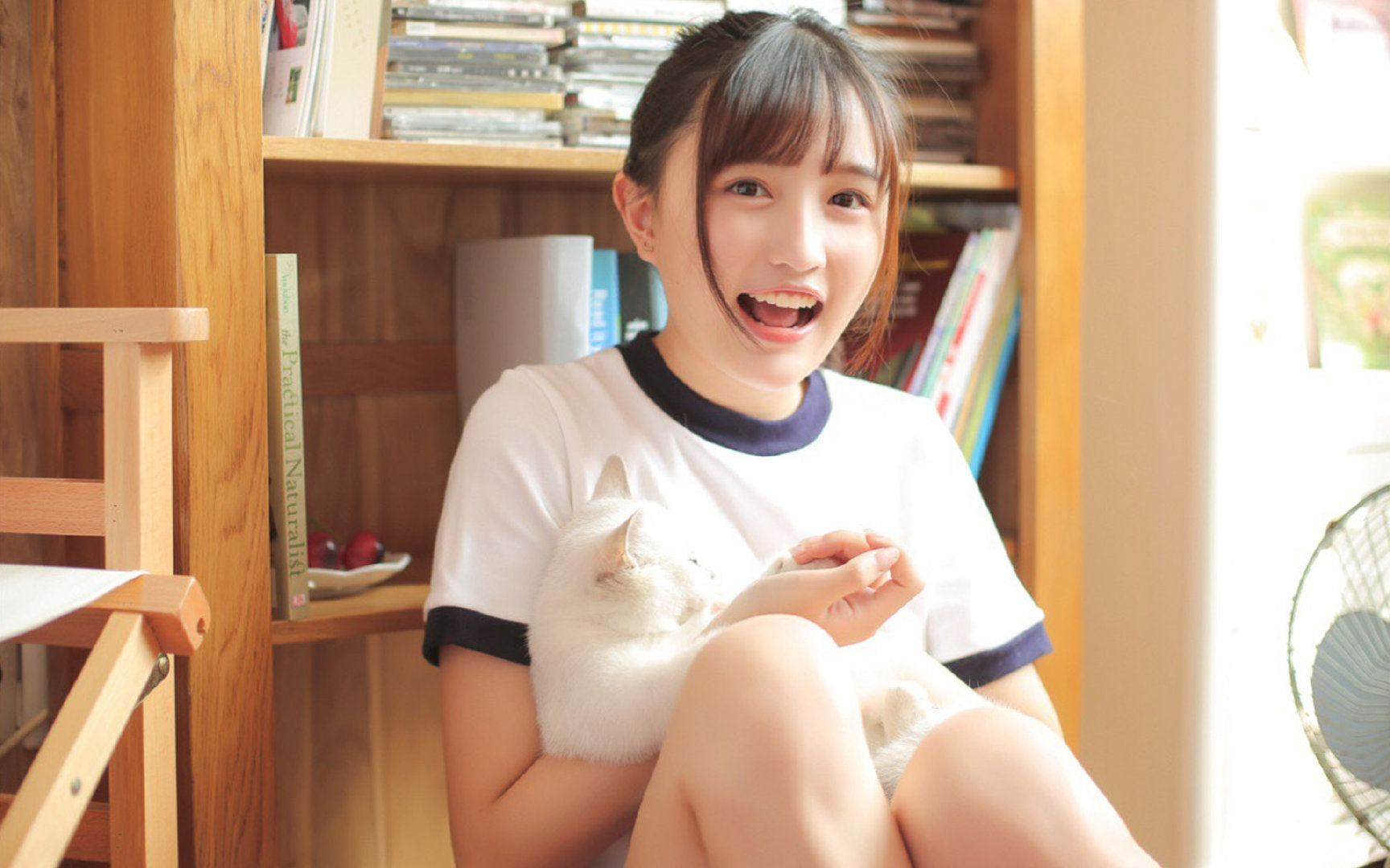 中国足球的媒体形象分析,中国足球文化