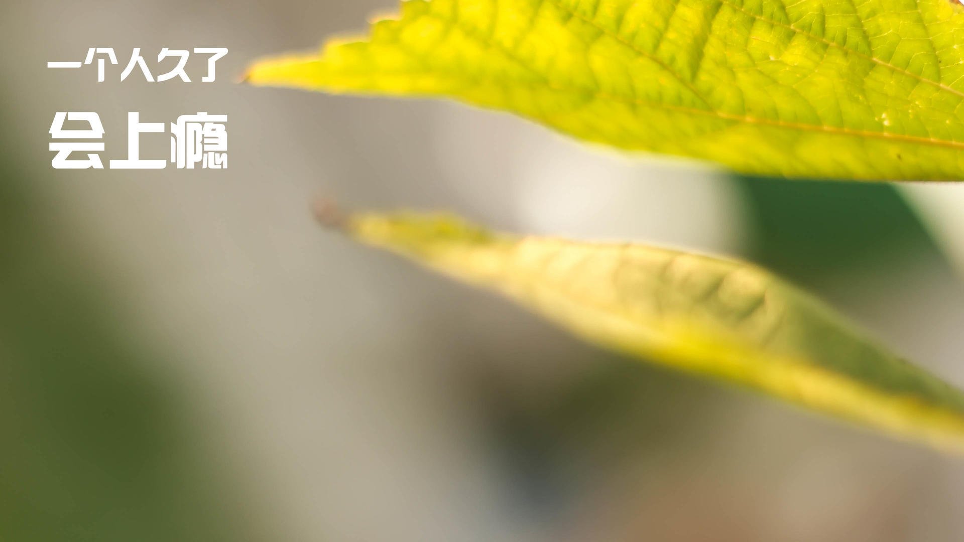 中国足球赛场上的经典瞬间，中国足球赛场上的经典瞬间视频