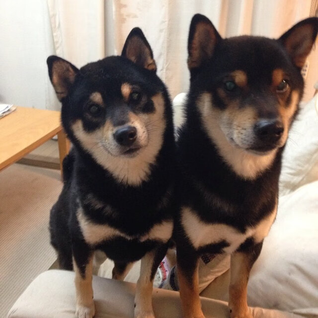 中国足球赛场上的经典瞬间，中国足球赛场上的经典瞬间视频